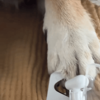 SafeClip™ – El Cortaúñas Inteligente con LED para Cortes Seguros y Sin Miedo en Tu Mascota