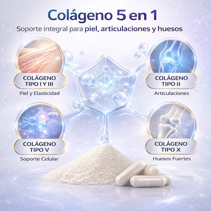 Colageno Peptidos 5 en 1 – Fuerza, Elasticidad y Renovacion Diaria para tu Cuerpo +35